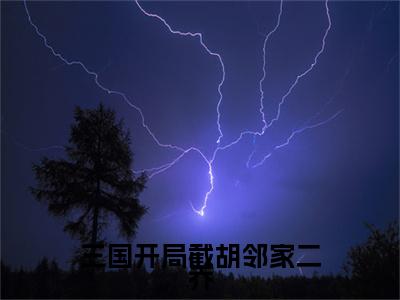 （三国开局截胡邻家二乔）全文免费阅读无弹窗大结局_（韦天宝）章节列表_笔趣阁