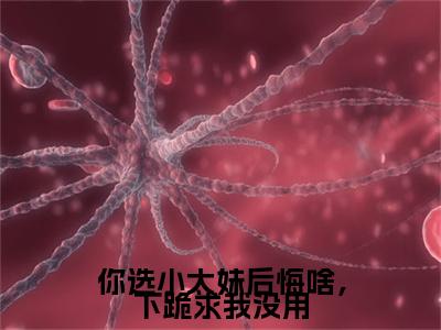 你选小太妹后悔啥，下跪求我没用（林萱精彩美文）免费阅读-小说林萱最后结局如何