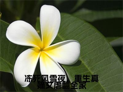 冻死风雪夜，重生真嫡女虐翻全家（李卿落段容时）小说全文免费阅读正版无弹窗，冻死风雪夜，重生真嫡女虐翻全家免费阅读