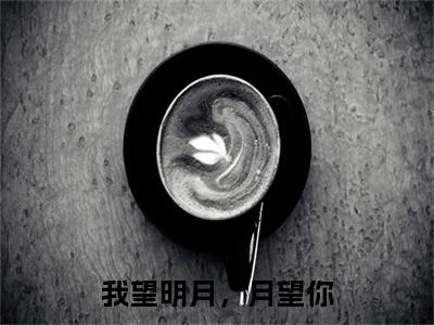 我望明月，月望你小说（陆宴宋景钰）全文免费阅读无弹窗大结局_我望明月，月望你全文免费完结版阅读（陆宴宋景钰）