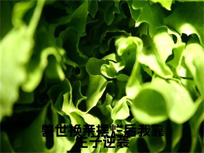 兽世换亲摆烂后我靠生子逆袭无广告免费阅读-小说付清最后结局如何