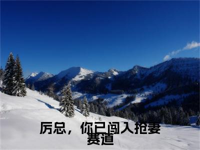 厉总，你已闯入抢妻赛道精彩章节免费阅读_（沈雨琪厉泽宇）厉总，你已闯入抢妻赛道抖音热推小说最新章节阅读