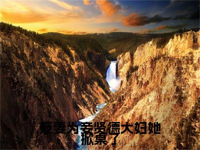 贬妻为妾贤德大妇她掀桌了（沈砚书容枝枝）全文免费阅读大结局_沈砚书容枝枝免费在线阅读无删减