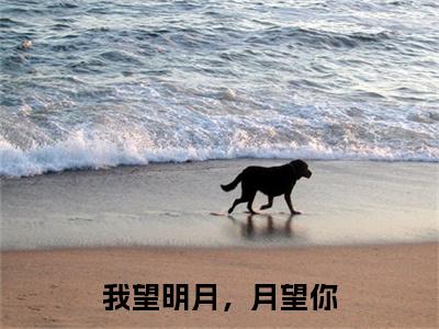 我望明月，月望你抖音新上免费热文陆宴宋景钰完结免费阅读无弹窗