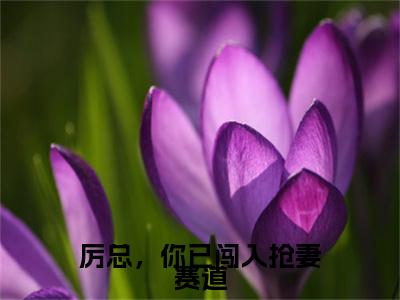 沈雨琪厉泽宇全文免费阅读-厉总，你已闯入抢妻赛道最新章节小说免费阅读