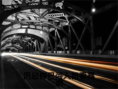 厉总你已闯入抢妻赛道（沈雨琪厉泽宇全文在线阅读）-厉总你已闯入抢妻赛道小说（沈雨琪厉泽宇）免费阅读最新章节列表无弹窗