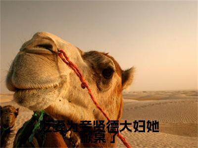 贬妻为妾贤德大妇她掀桌了（沈砚书容枝枝）全文免费阅读无弹窗大结局_（沈砚书容枝枝免费阅读全文大结局）最新章节列表