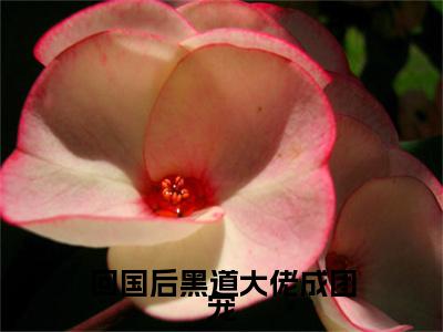 江宥礼林清也（回国后黑道大佬成团宠）全文免费阅读-（江宥礼林清也）回国后黑道大佬成团宠最新章节小说阅读-笔趣阁