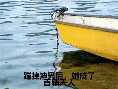 踹掉渣男后，她成了首辅夫人（陆婉婉谢怀瑾）免费阅读最新章节无弹窗陆婉婉谢怀瑾完整版小说在线阅读