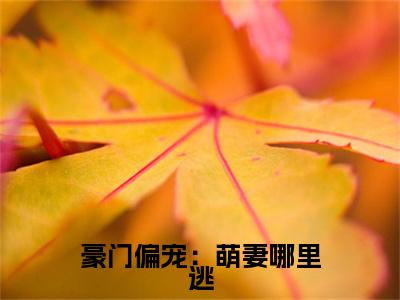 豪门偏宠：萌妻哪里逃（程澜依）全文阅读_小说豪门偏宠：萌妻哪里逃免费阅读（程澜依）笔趣阁