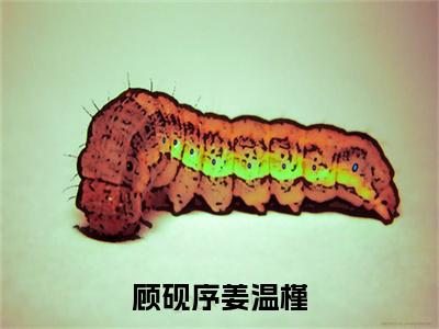 顾砚序姜温槿小说大结局完整版阅读，顾砚序姜温槿小说全文在线阅读