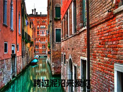 跨过泥沼来爱你（顾行舟孟晚）全文免费阅读无弹窗大结局_顾行舟孟晚最新章节列表_笔趣阁（跨过泥沼来爱你）