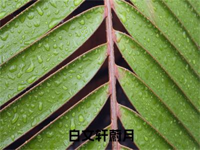 白文轩蔚月白文轩蔚月小说结局-白文轩蔚月全文无弹窗阅读