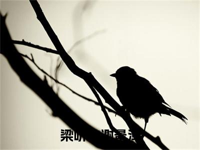 梁听枝谢景泽（谢景泽梁听枝小说）全文免费阅读无弹窗大结局_谢景泽梁听枝完整版小说阅读