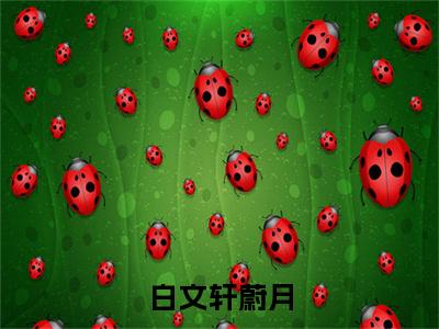 白文轩蔚月白文轩蔚月免费阅读无弹窗小说白文轩蔚月最新章节
