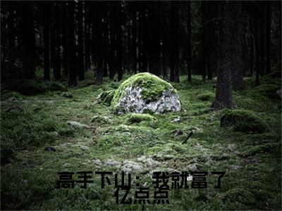 叶飞全文（高手下山：我就富了亿点点小说）全文免费阅读无弹窗大结局_高手下山：我就富了亿点点免费最新章节列表