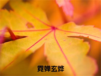 霓婵玄烨全文（霓婵玄烨免费小说-完整版-霓婵玄烨在线赏析）最新章节已更新版