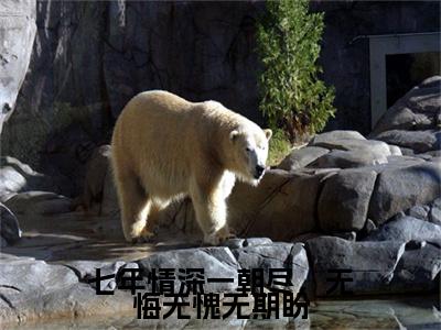 七年情深一朝尽，无悔无愧无期盼（梁静姝陆煜尘）抖音热推小说全集无删减，梁静姝陆煜尘小说在线免费阅读大结局