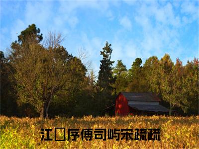 热门小说宋疏疏江璟序傅司屿全文免费阅读无弹窗大结局-江璟序傅司屿宋疏疏全文无弹窗免费阅读大结局