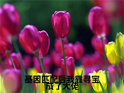 商以宁（基因匹配后我靠寻宝成了大佬）全文免费阅读无弹窗_基因匹配后我靠寻宝成了大佬最新小说