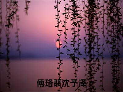 傅珞翡沈予泽（傅珞翡沈予泽）全文免费傅珞翡沈予泽读无弹窗大结局_傅珞翡沈予泽免费傅珞翡沈予泽读全文最新章节列表_笔趣阁