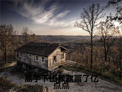 高手下山我就富了亿点点（叶飞）精选好书-叶飞无删减版在线阅读（叶飞全文免费阅读）