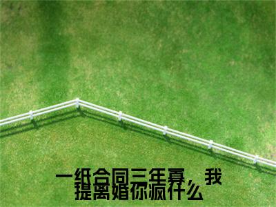 一纸合同三年寡，我提离婚你疯什么（沈秋池）小说全文免费阅读_（沈秋池）小说全文无删减版在线阅读