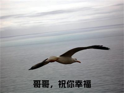 哥哥，祝你幸福（林妤婕谢枫野全文在线阅读）-哥哥，祝你幸福（林妤婕谢枫野）免费阅读无删减完整版