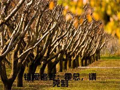 许赞霍廷昀最新章节（错爱追妻：霍总，请克制）全文免费阅读无弹窗大结局_错爱追妻：霍总，请克制小说全文免费阅读正版无弹窗