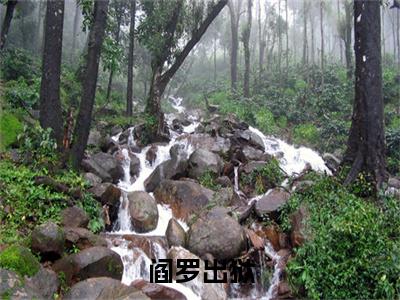 阎罗出狱（林昭小说）全文免费阅读无弹窗大结局_林昭完整版小说阅读