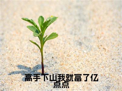 高手下山我就富了亿点点叶飞小说免费阅读-高手下山我就富了亿点点抖音新书热荐