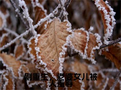 叶枫（刚重生，老婆女儿被人羞辱）完整全文在线阅读_刚重生，老婆女儿被人羞辱小说全章节目录阅读（叶枫）