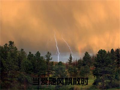 当爱随风飘散时免费小说-当爱随风飘散时完结版在线阅读