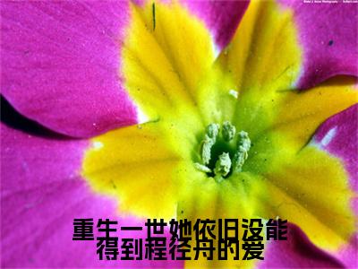 慕安颜程径舟小说-重生一世她依旧没能得到程径舟的爱最新章节全文阅读