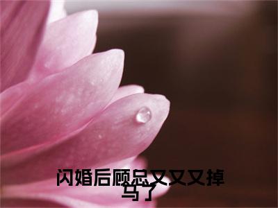 闪婚后顾总又又又掉马了全文免费阅读无弹窗大结局_（季清霖顾北笙无弹窗）闪婚后顾总又又又掉马了全文阅读最新章节列表笔趣阁