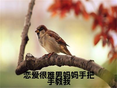 恋爱很难男妈妈手把手教我在线阅读（姜绵）全文无弹窗大结局_姜绵全文在线阅读无弹窗