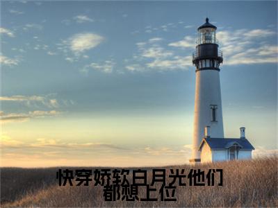 快穿娇软白月光他们都想上位小说全文免费阅读-（苏妧）快穿娇软白月光他们都想上位精选小说大结局阅读