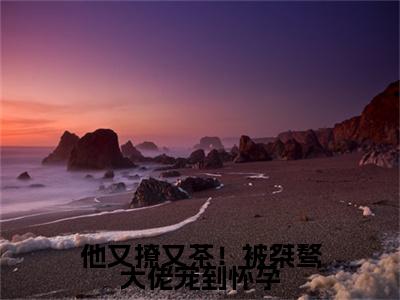 谢京墨虞之琬小说（他又撩又茶！被桀骜大佬宠到怀孕）全文免费阅读-谢京墨虞之琬精彩章节在线阅读