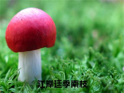 主角江岸廷季南枝小说江岸廷季南枝小说全文免费阅读