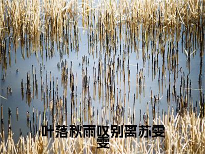 叶落秋雨叹别离苏雯雯小说在线阅读-主角叫严天禹苏雯雯的小说（叶落秋雨叹别离苏雯雯）完整版免费阅读全文