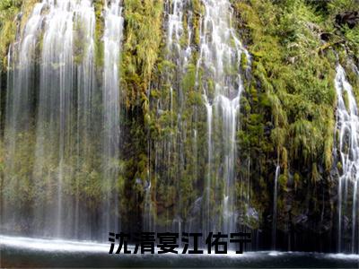 沈清宴江佑宁（沈清宴江佑宁）全网首发最火小说-主角沈清宴江佑宁的小说完整版免费阅读