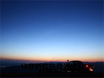 苏妧免费版最新更新阅读-快穿娇软白月光他们都想上位小说全文在线阅读