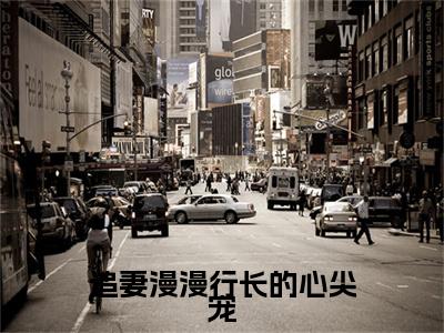 《追妻漫漫行长的心尖宠》主角是沈以谦陆洛晚全文免费阅读已完结