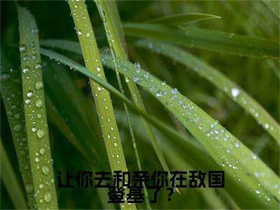 让你去和亲你在敌国登基了？（张玄）小说全文小说免费阅读_让你去和亲你在敌国登基了？最新章节列表笔趣阁（张玄）