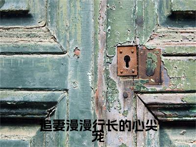 （免费）+（番外）主角是沈以谦陆洛晚的小说-追妻漫漫行长的心尖宠全文无弹窗免费阅读