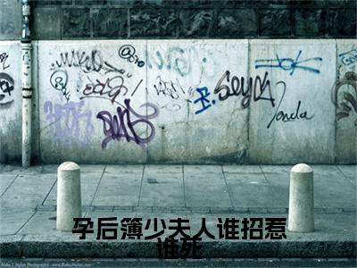 景落簿北臣小说在线阅读全文无弹窗大结局_孕后簿少夫人谁招惹谁死小说免费最新章节列表（全文）+（后续）