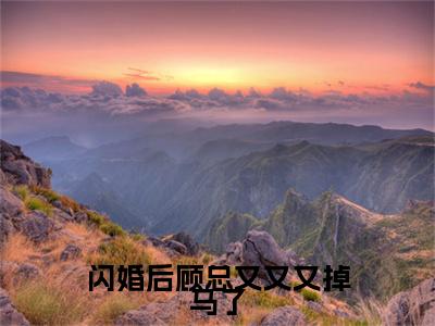 季清霖顾北笙全文免费大结局闪婚后顾总又又又掉马了小说在线阅读