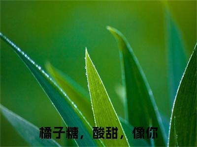 橘子糖，酸甜，像你小说（应礼时颜橘）全文免费阅读无弹窗大结局_（橘子糖，酸甜，像你）应礼时颜橘小说最新章节列表