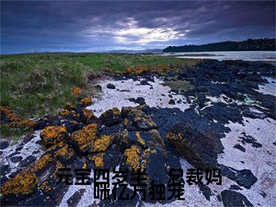 元宝陆婉令新书元宝四岁半，总裁妈咪亿万独宠看全文小说-元宝陆婉令小说资源阅读元宝四岁半，总裁妈咪亿万独宠