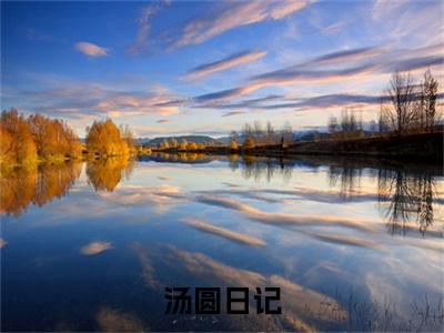汤圆日记（凌屿白唐园）小说全文免费阅读无弹窗大结局_汤圆日记全文在线阅读无弹窗（凌屿白唐园）